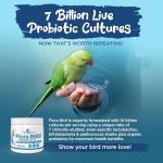 Flora Bird Probiotic Powder for Digestive Health