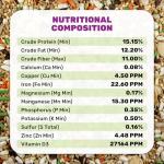 Hookbill Bird Food 5 lbs - Nutrient-Rich Seeds