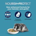 Kaytee Forti-Diet Pro Health Hamster Food