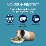 Kaytee Forti-Diet Health Food for Guinea Pigs