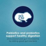 Kaytee Forti-Diet Health Food for Guinea Pigs