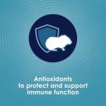 Kaytee Forti-Diet Health Food for Guinea Pigs