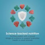 Kaytee Forti-Diet Health Food for Guinea Pigs