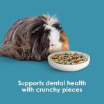Kaytee Forti-Diet Health Food for Guinea Pigs