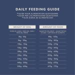 Beef and Peas Dry Dog Food, 5kg Pack