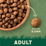 Harringtons Lamb & Rice Adult Dog Food 15kg