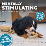 Outward Hound XL Hide A Squirrel Dog Toy