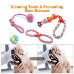 Wefine 10-Piece Natural Cotton Puppy Chew Toys