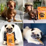 Venison & Beef Liver Grain Free Dog Treats