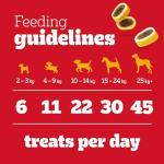 PEDIGREE Tasty Minis Cheese & Beef Dog Treats 140g
