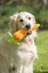 Petface Fluffy Carrot Dog Toy