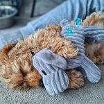 Petface Freddi Plush Puppy Dog Toy