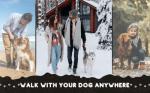 Loutep Adjustable Dog Lead for All Sizes