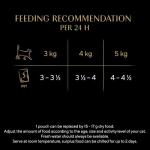 Sheba Cat Food Pouches in Gelatin, 85g