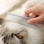 Dog Grooming Scissors Set for Dogs and Cats