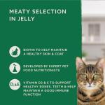 Grain-Free Wet Cat Food, Meat Selection, 4.8 kg