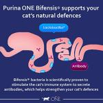 Purina One Adult Cat Dry Food, 6kg