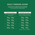 Complete Dry Cat Food with Chicken and Veggies