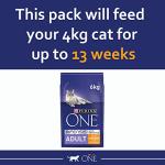 Purina One Adult Cat Dry Food, 6kg