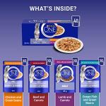 PURINA ONE Mini Fillets in Gravy Cat Food