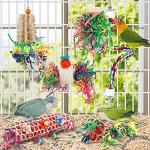BBjinronjy Bird Toys for Parakeets and Conures