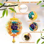 6 Pack Parrot Foraging Chew Toys