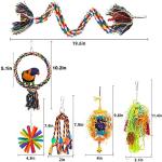 6 Pack Parrot Foraging Chew Toys