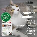 HomeoPet Natural Anxiety Relief for Cats 15ml