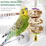 Colorful Bird Toys and Accessories for Happy Pets