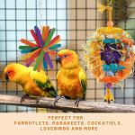 6 Pack Parrot Foraging Chew Toys