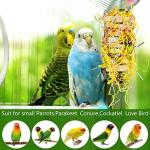 5 Pack Shredding Toys for Birds and Parrots