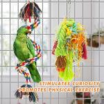 6 Pack Parrot Foraging Chew Toys