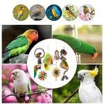 6 Pack Parrot Foraging Chew Toys