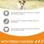 IAMS Adult Dry Dog Food with Dental Care 800g