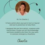 Vet Approved First Aid Kit for Dogs and Pets