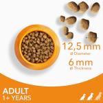 IAMS Adult Dry Dog Food with Dental Care 800g