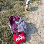 Essential Pet First Aid Kit for Dogs 50+ Pieces