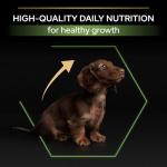 Purina Pro Plan Small Puppy Healthy Start 3kg