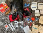 Essential Pet First Aid Kit for Dogs 50+ Pieces