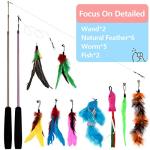 Interactive Feather Cat Toys with Teaser Wands