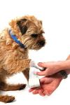 Mountain Paws Dog First Aid Kit - One Size