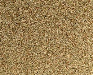 Johnston & Jeff 10kg Budgie Bird Seed