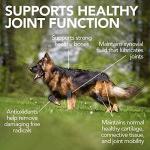 Vet's Best Hip & Joint Dog Chews - 60 Count