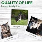 Vet's Best Cat Immune Support Supplement Gel, 100g