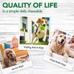 Vet's Best Hip & Joint Dog Chews - 60 Count