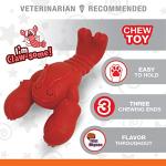 Nylabone Lobster Chew Toy for Aggressive Chewers