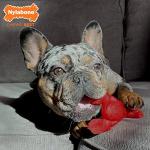 Nylabone Lobster Chew Toy for Aggressive Chewers