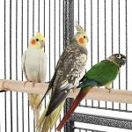 Yaheetech Large Metal Bird Cage with Stand