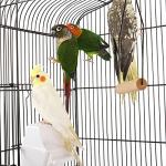 Yaheetech Black Metal Bird Cage with Play Top