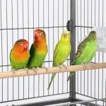Yaheetech Large Parrot Cage with Perch and Wheels